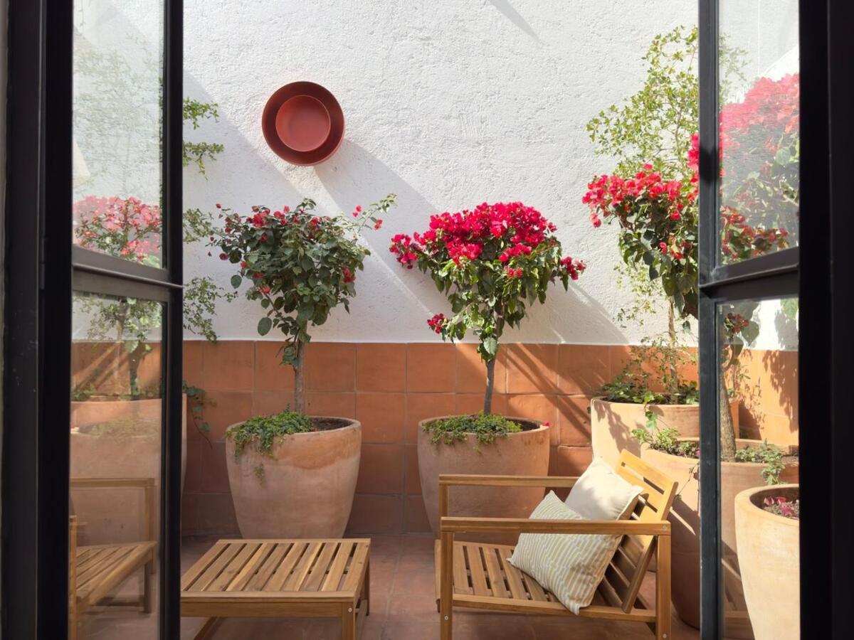 Apartment New Beautiful Loft - Ks Bed - Air Conditioner Mexico City